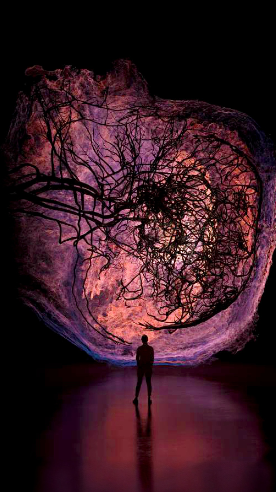 Flesh & Bones: The Art Of Anatomy