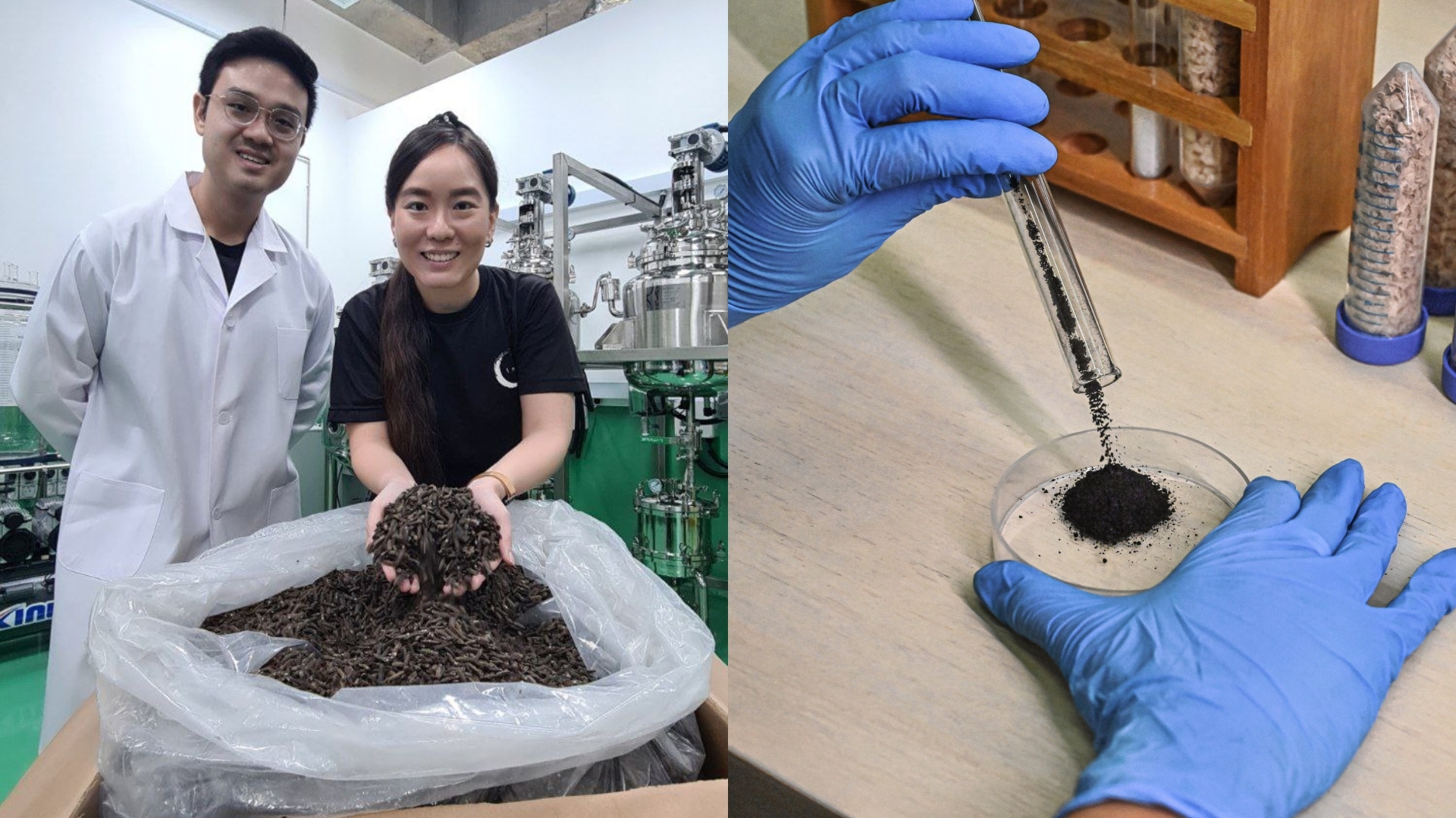 From Trash to Treasure: Unlocking the Potential of Black Soldier Flies with Insectta
