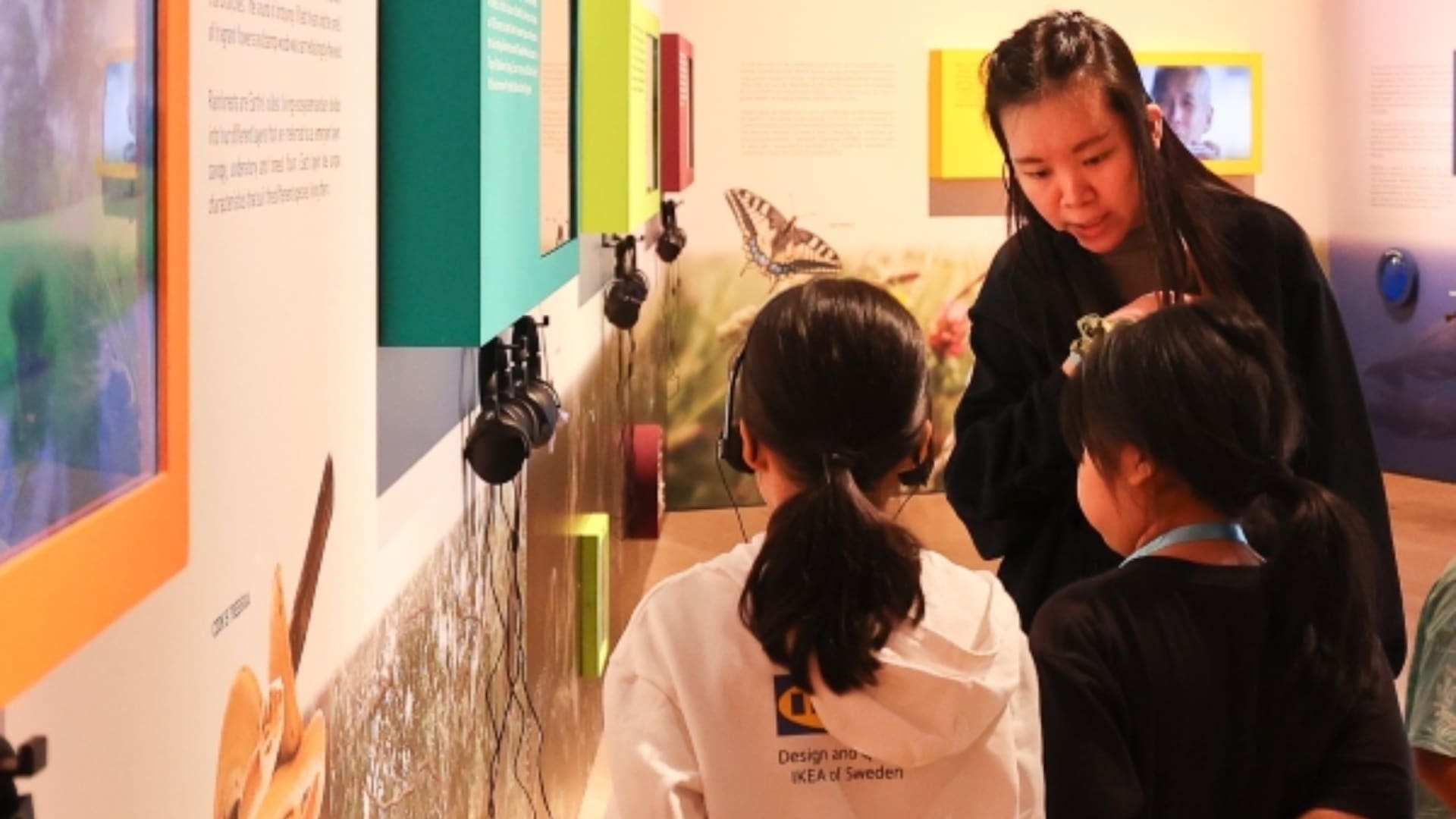 Insects Tour for Kids