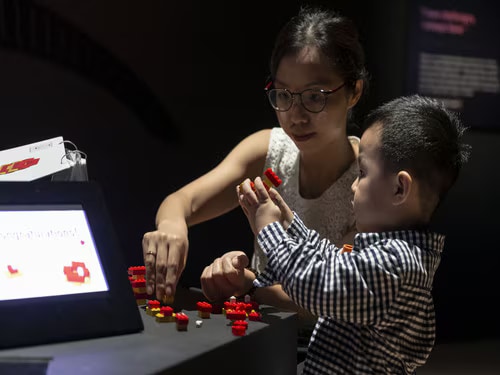 Particle Physics Brick By Brick