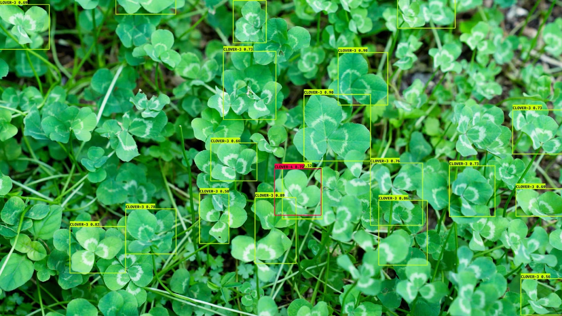 Drone in Search for a Four Leaf Clover