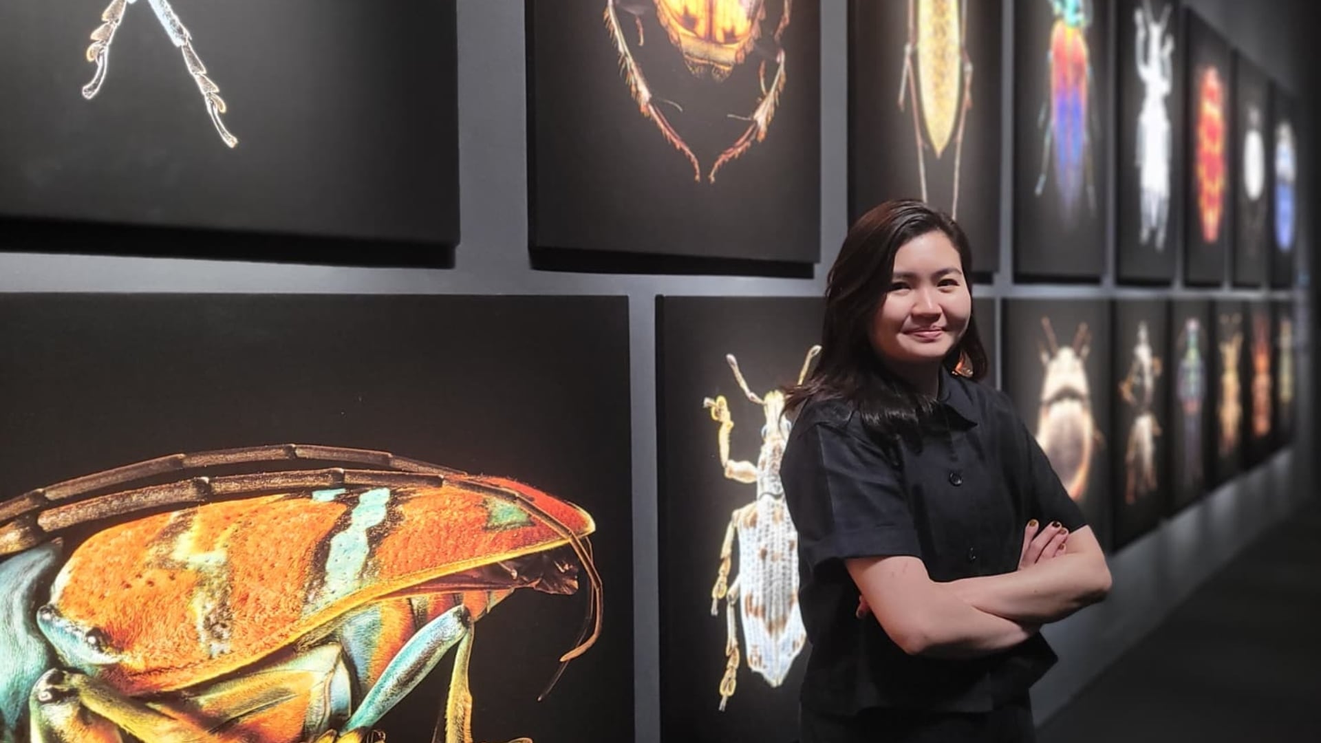Insects, Curator's Tour, ArtScience Museum