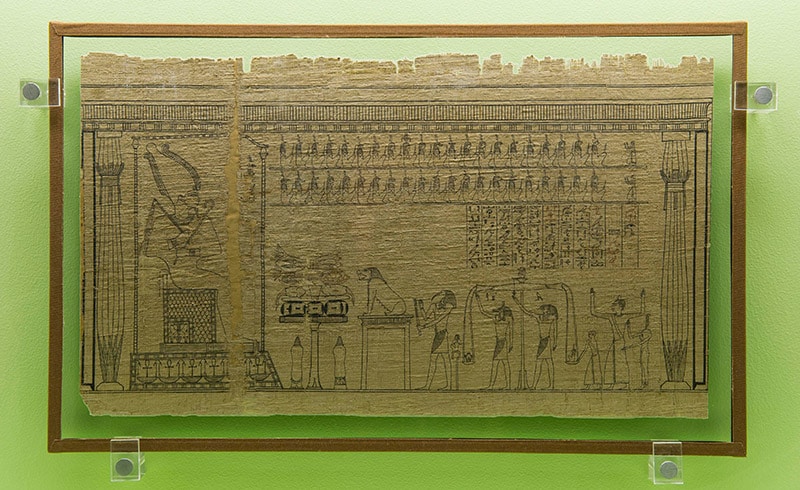 papyrus 