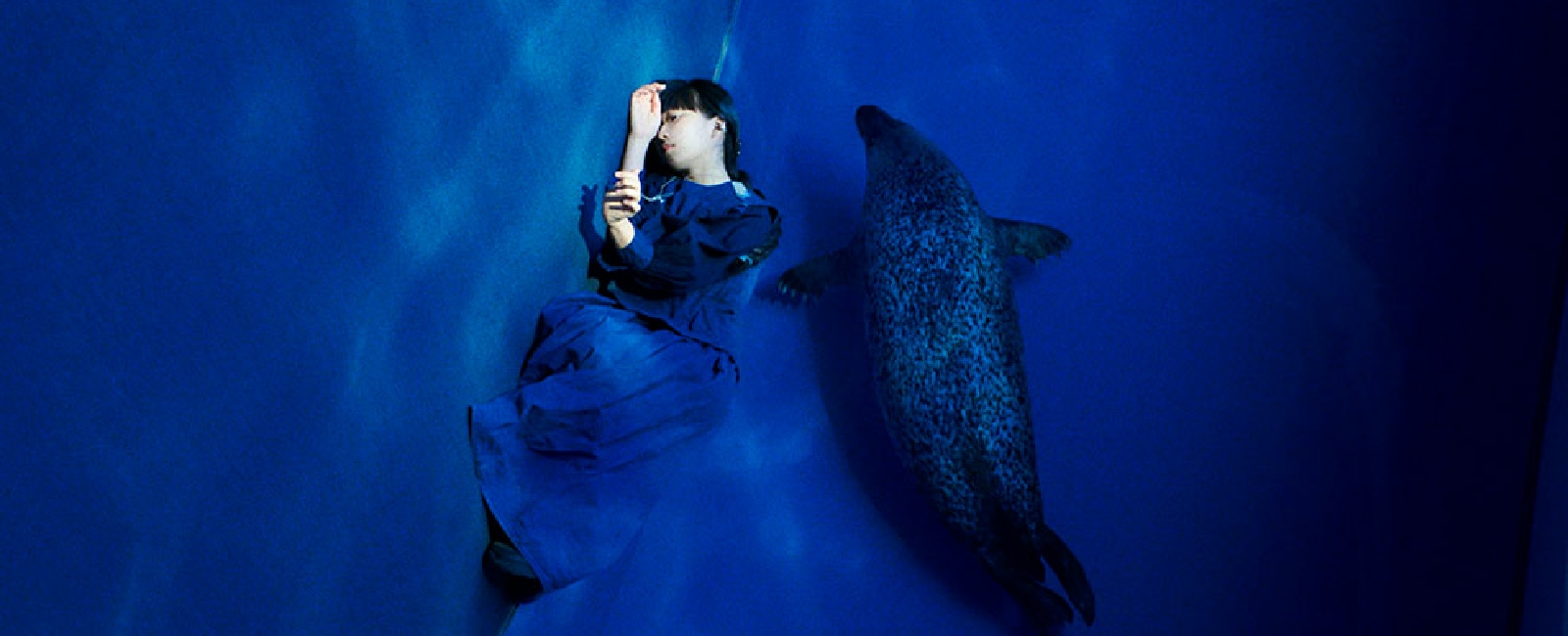 ArtScience Encounters: Windswept Adan by Ichiko Aoba