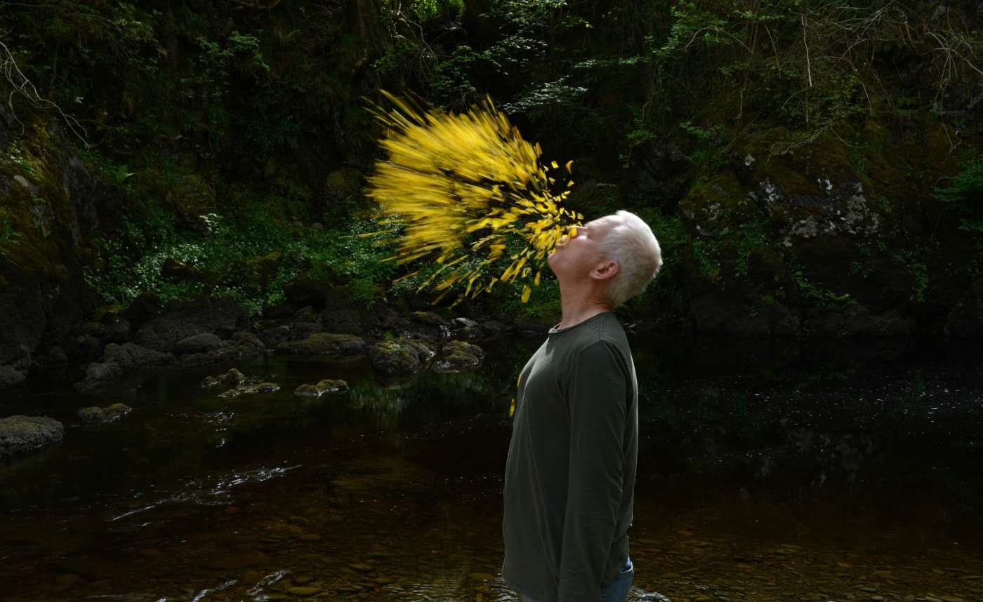 Leaning into the Wind: Andy Goldsworthy (2017)