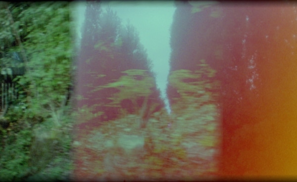 ArtScience Interlude: Lynn Loo