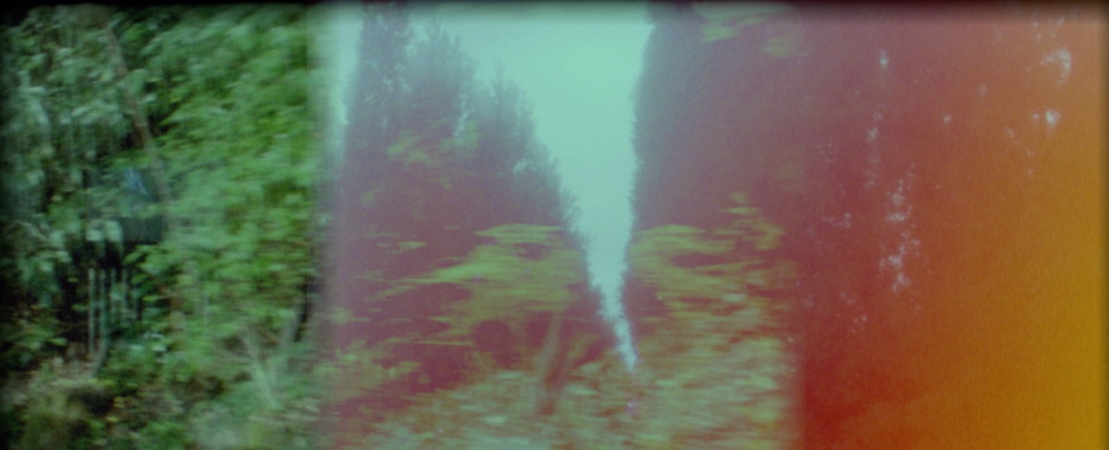 ArtScience Interlude: Lynn Loo