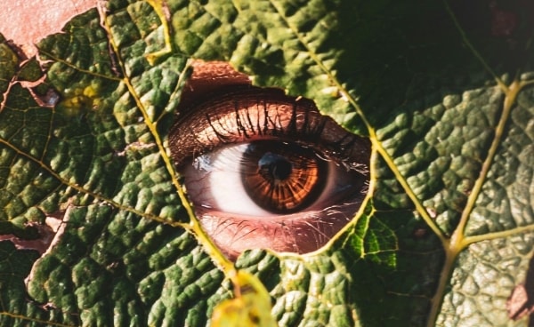 Future/Now: Youth Voices for Climate and Conservation