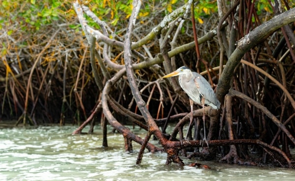 Shifting Shores: Coastal Futures in a Changing Climate