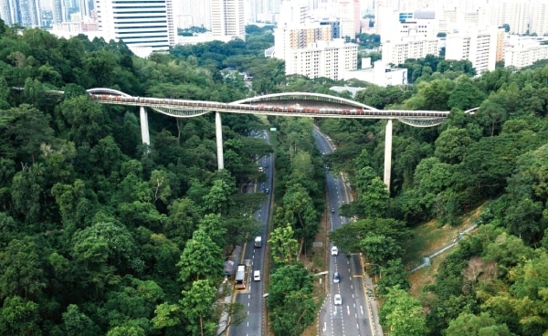 Tracing Our Terrain: Land, Legacy and the City in Nature