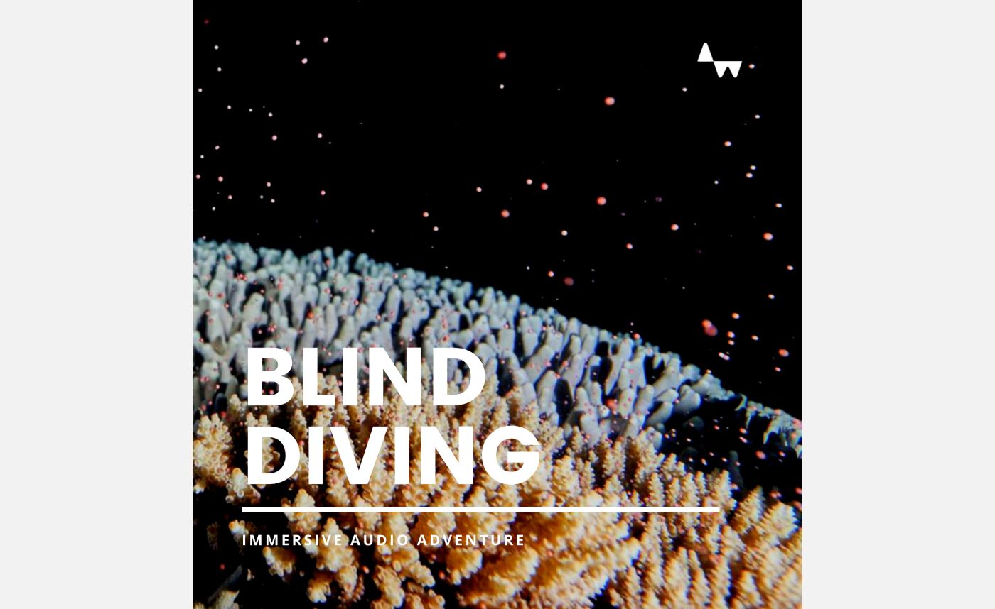 Blind Diving Audio Adventures