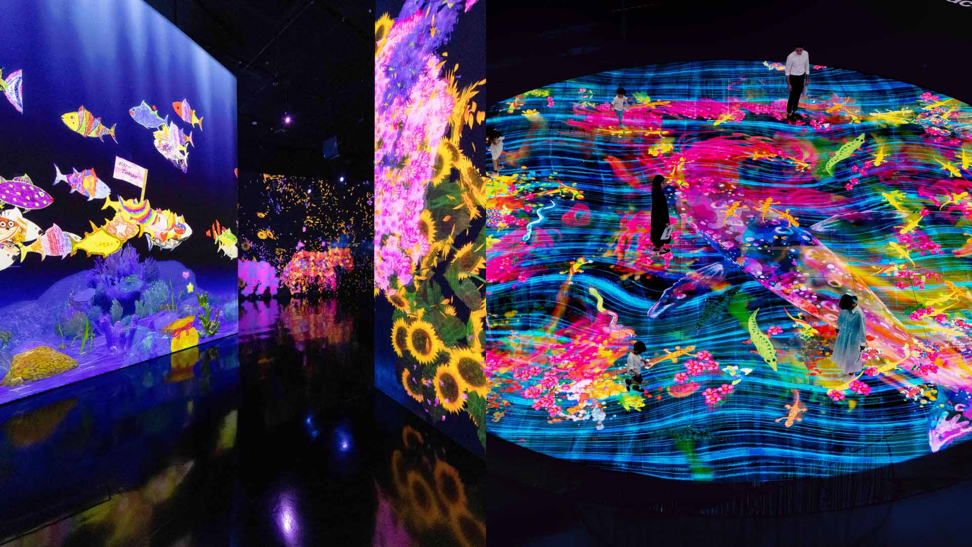 teamLab Future World and Digital Light Canvas by teamLab