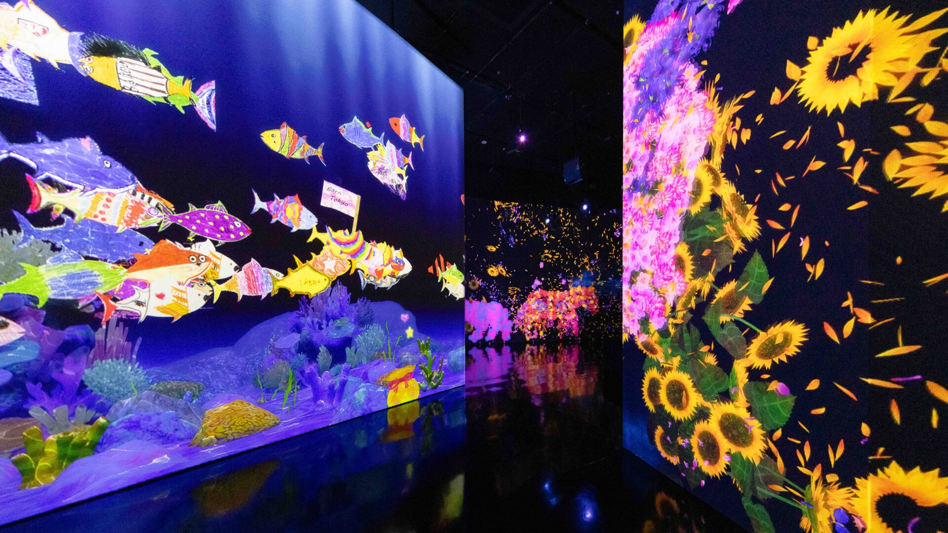 Future World at ArtScience Museum