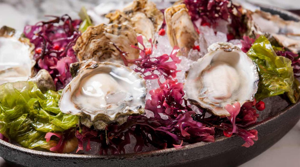 Fresh oysters at db Bistro which serves 2023 Mother's Day brunch and dinner