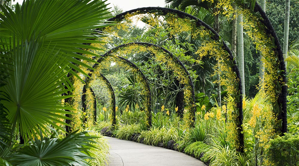 Botanical Gardens in Singapore