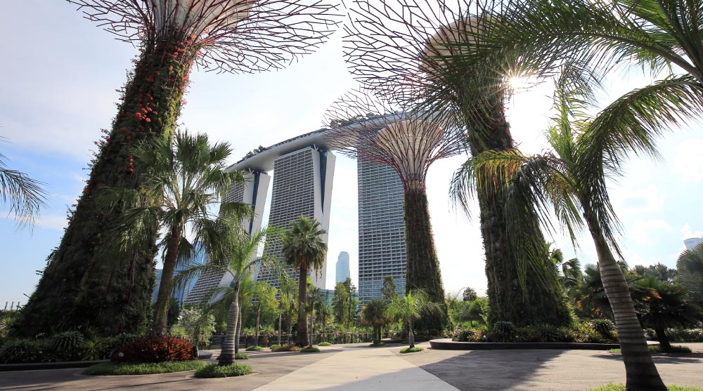 Walkway around Marina Bay Sands for physical wellness activities, like a stroll or run along Gardens by the Bay
