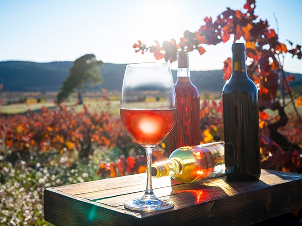 Wine for Our Planet
