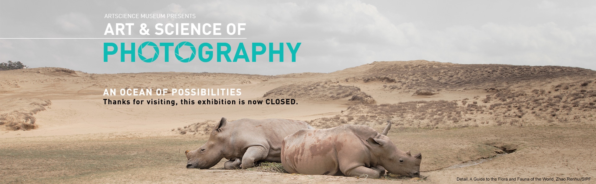 ART AND SCIENCE OF PHOTOGRAPHY