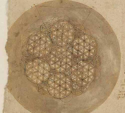 Circle in 588 Portions Circa 1517—18  F.307 verso  Leonardo da Vinci Codex Atlanticus