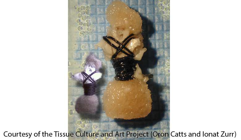 SEMI-LIVING WORRY DOLLS, TISSUE CULTURE AND ART PROJECT