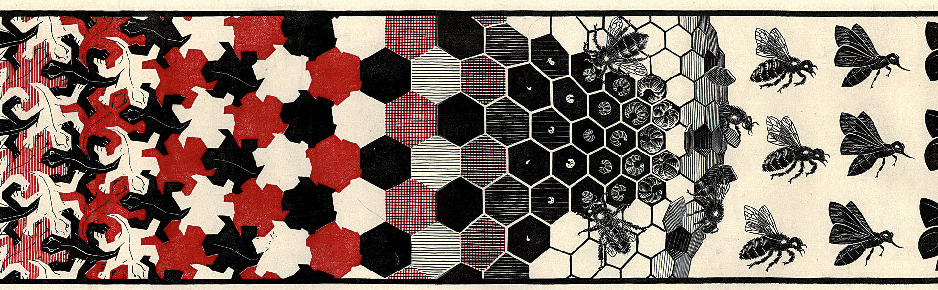 M.C.Escher at ArtScience Museum