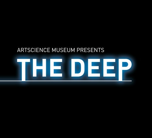 The Deep programme - Public Guided Tours