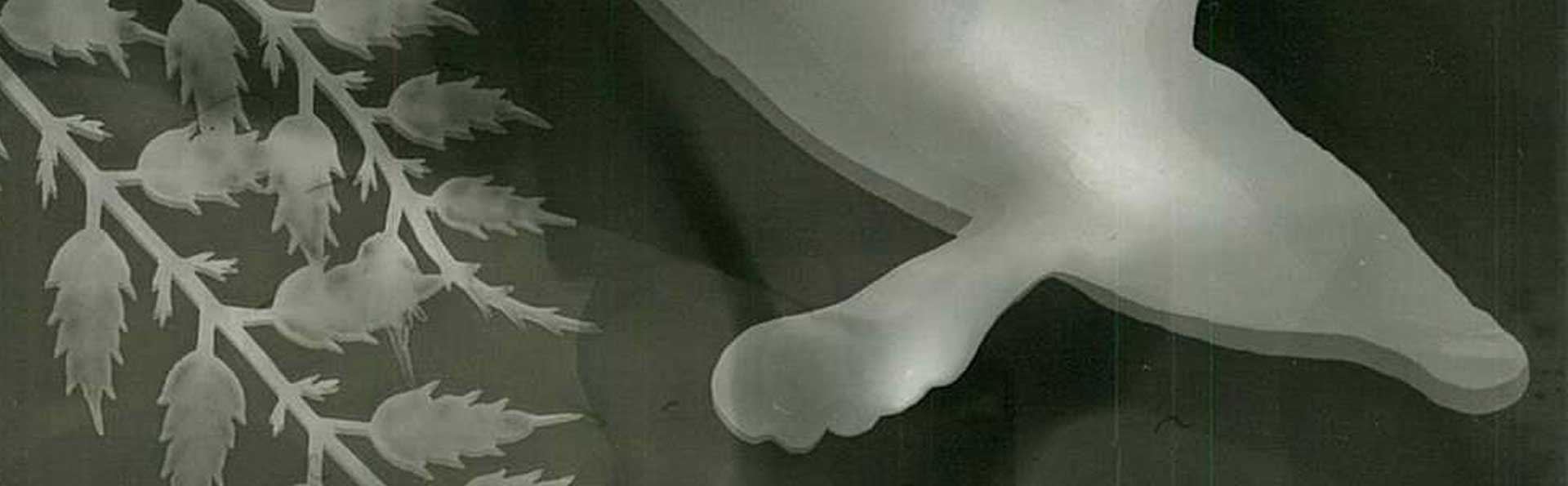 Programmes of The Deep exhibition at ArtScience Museum