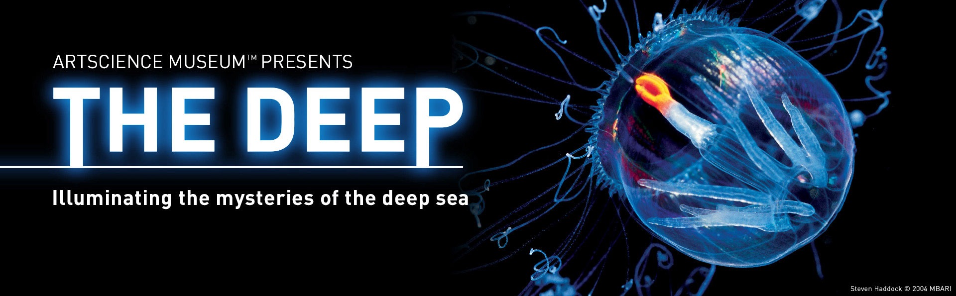 The Deep exhibition in ArtScience Museum - Marina Bay Sands