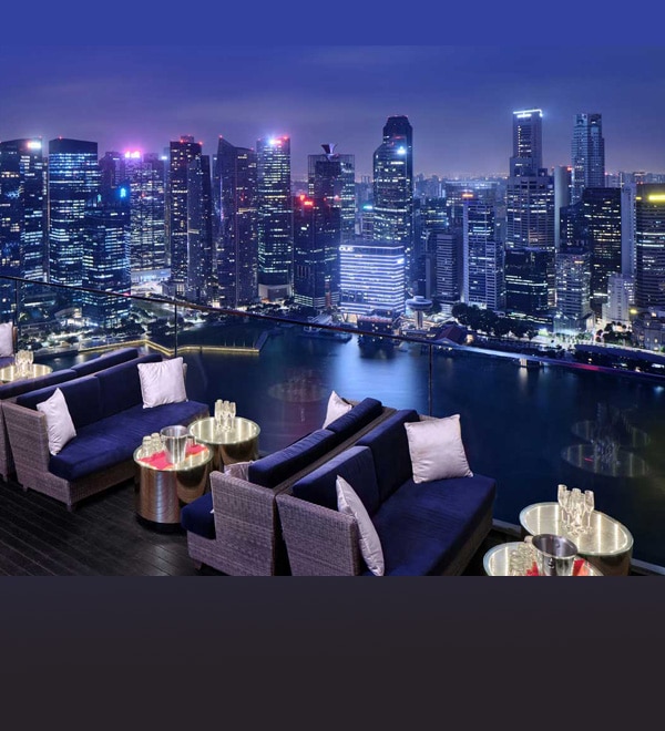 Marina Bay Sands - Hotel and SkyPark