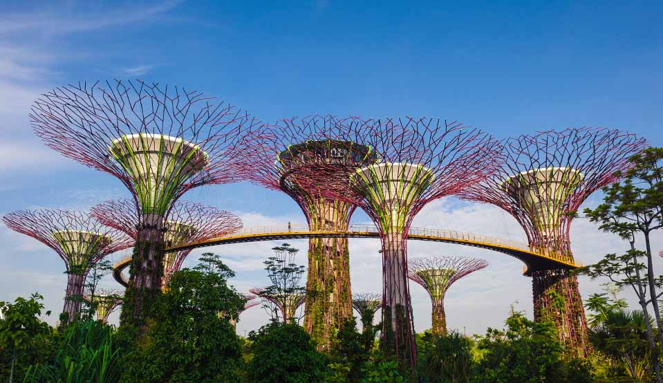 Gardens By The Bay Singapore Visitors Guide Marina Bay Sands