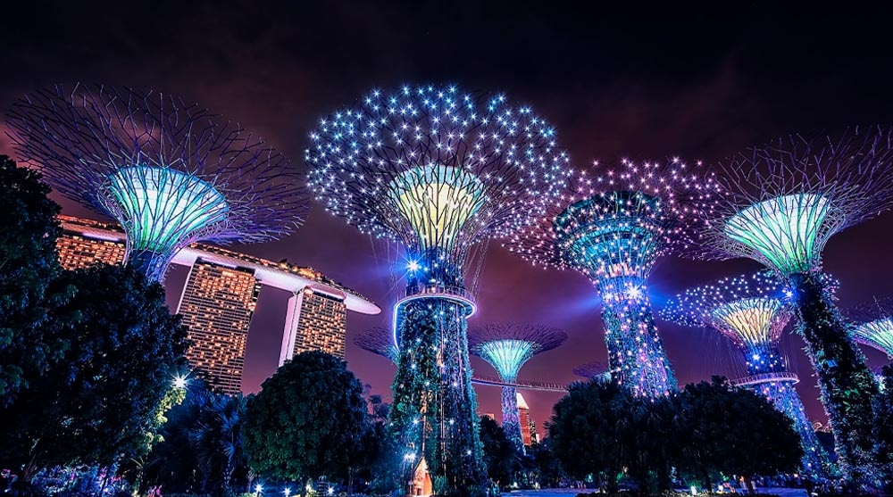 Enjoy a night view of the Supertrees at Gardens by the Bay when you book a stay at Marina Bay Sands
