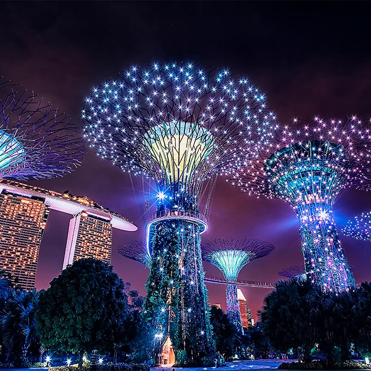 Supertrees at Gardens by the Bay, things to do near Marina Bay Sands