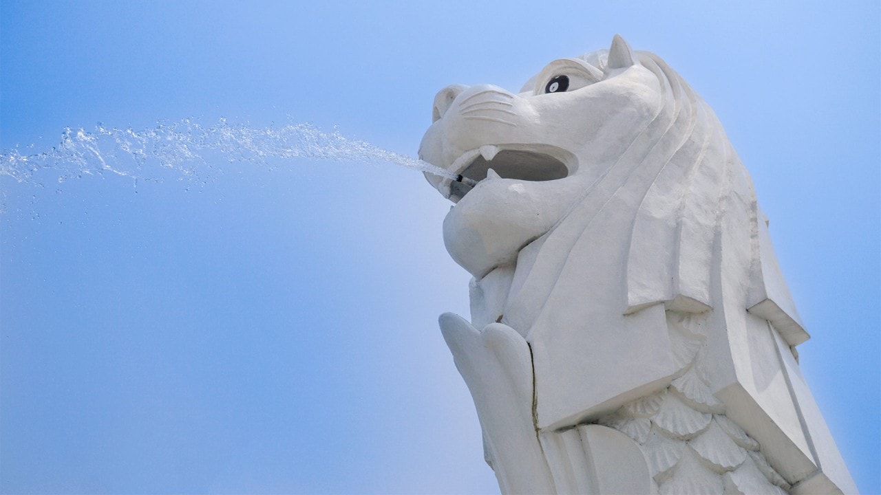 Close up of the iconic Merlion statue in Singapore, spouting water