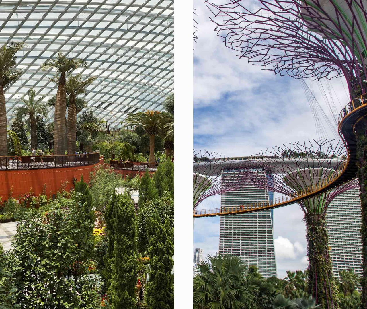 Supertrees and Flower Dome at Gardens by the Bay, a top instagrammable place in Singapore