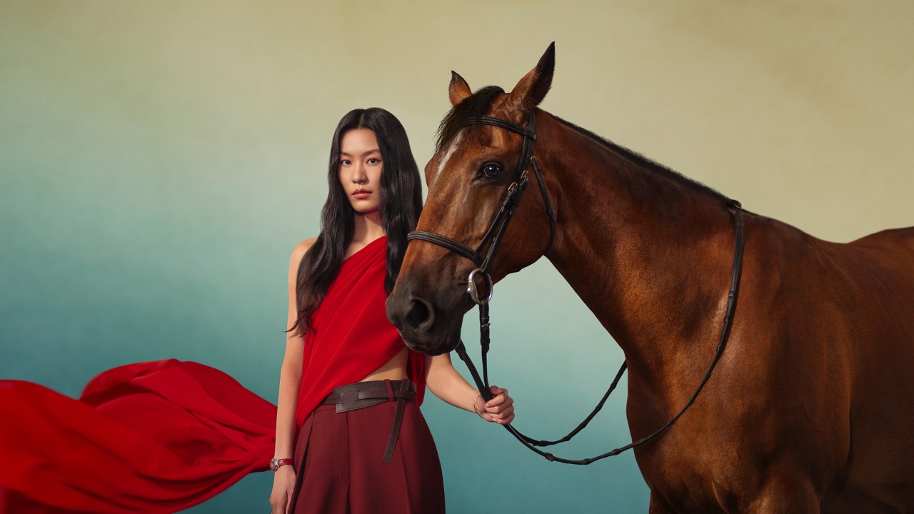 2026 Zodiac forecast readings for the Year of the Horse