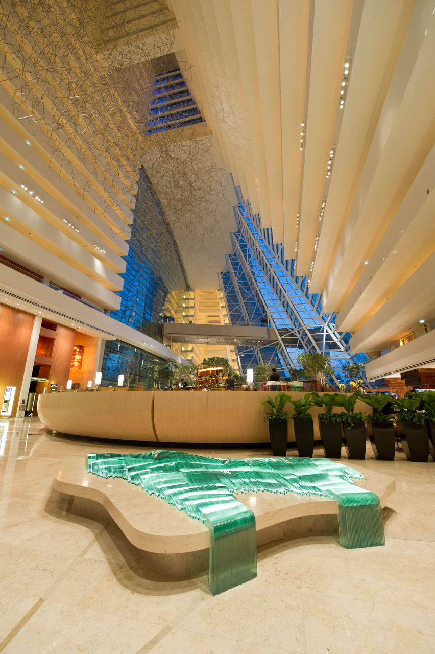 Israel Hadany, Motion_A.jpg