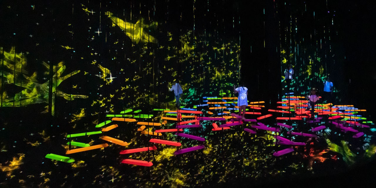Aerial Climbing Through A Flock of Colored Birds_1 (credit to teamLab).jpg