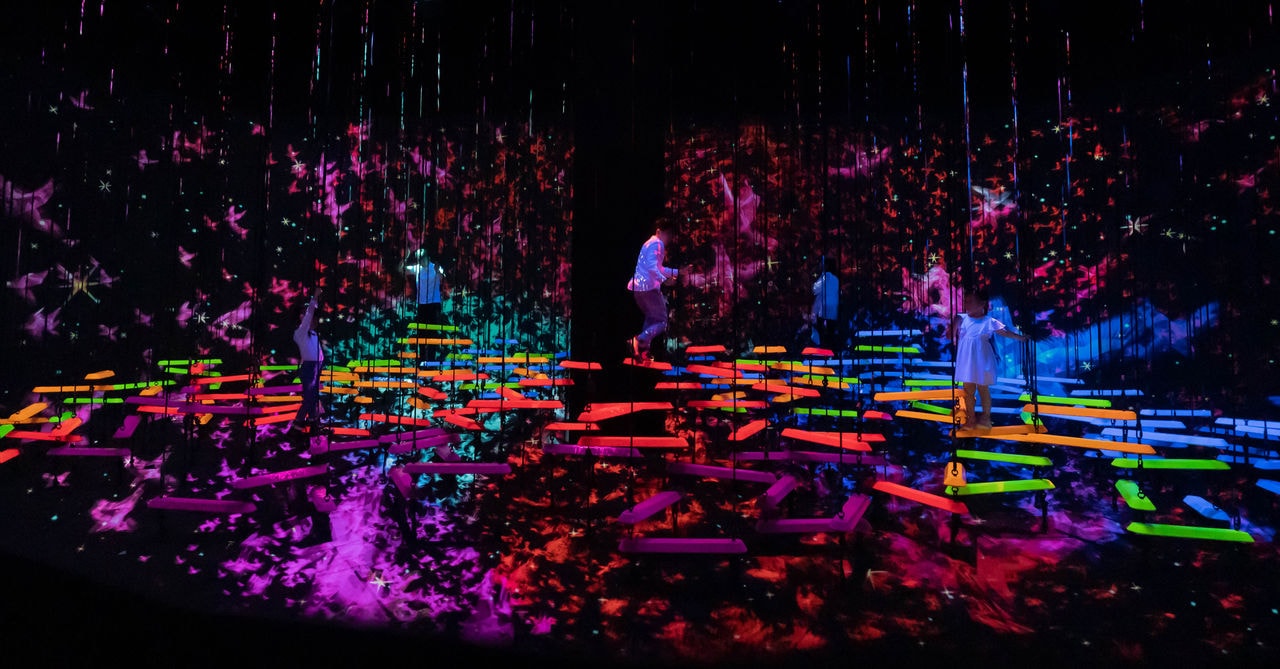 Aerial Climbing Through A Flock of Colored Birds_3 (credit to teamLab).jpg
