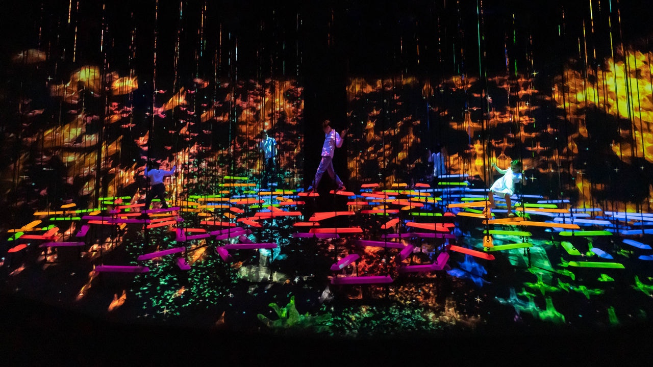 Aerial Climbing Through A Flock of Colored Birds_4 (credit to teamLab).jpg