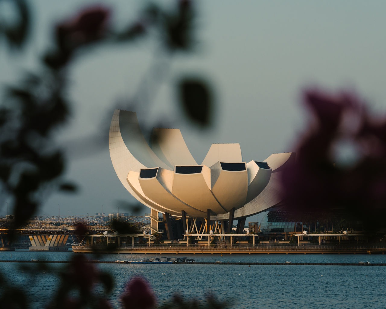 ArtScience Museum Architecture-9.jpg