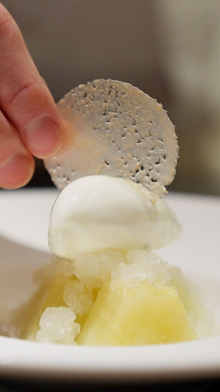 Jap Musk Melon_Thumbnail.png