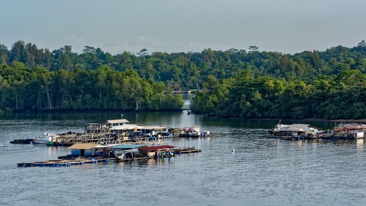 Responsibly Sourced Seafood